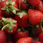 Полуниця: користь для організму, вітаміни, чим корисна для жінок