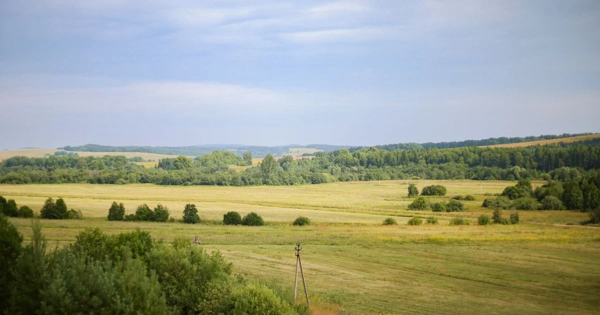 19 липня: Вшануймо Ангелів-Хранителів! Іменини: кого вітати та як.