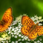 7 июля – День ангела: Имена, которые отмечаются, и теплые пожелания.