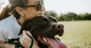 Неприємний запах з пащі собаки: ветеринари попереджають про серйозні симптоми
