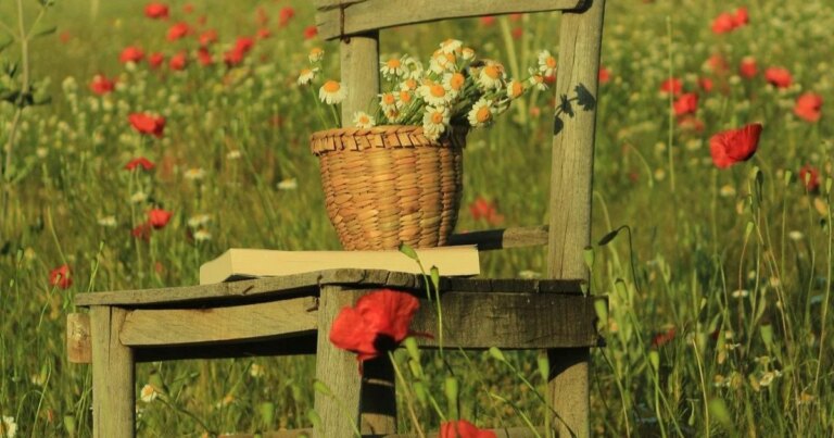 13 серпня: Іменини ангелів – кому свято, як вітати