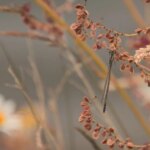 14 серпня: Вітаємо зі святом! Іменини святкують, вітаємо щиро.