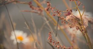 14 серпня: Вітаємо зі святом! Іменини святкують, вітаємо щиро.