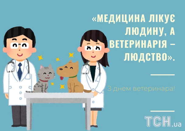 Листівки з Днем ветеринара / © ТСН