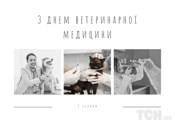 Листівки з Днем ветеринара / © ТСН