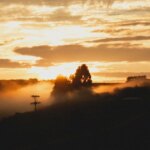 29 серпня: День ангела. Кого вітаємо з іменинами та як це робити.