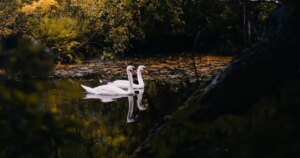 11 вересня: День ангела — кого вітаємо з іменинами та як це зробити святково