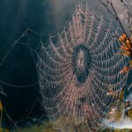 18 вересня: День ангела – хто святкує, як привітати.