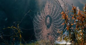 18 вересня: День ангела – хто святкує, як привітати.